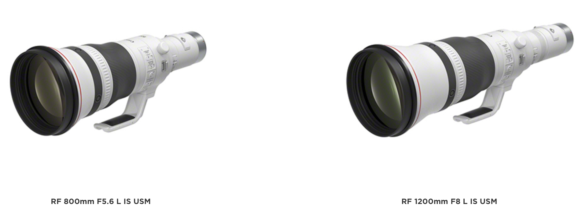 #67 Naturfotonews Canon Superteleobjektive, Eizo Monitore und die neue OM1 und GH6