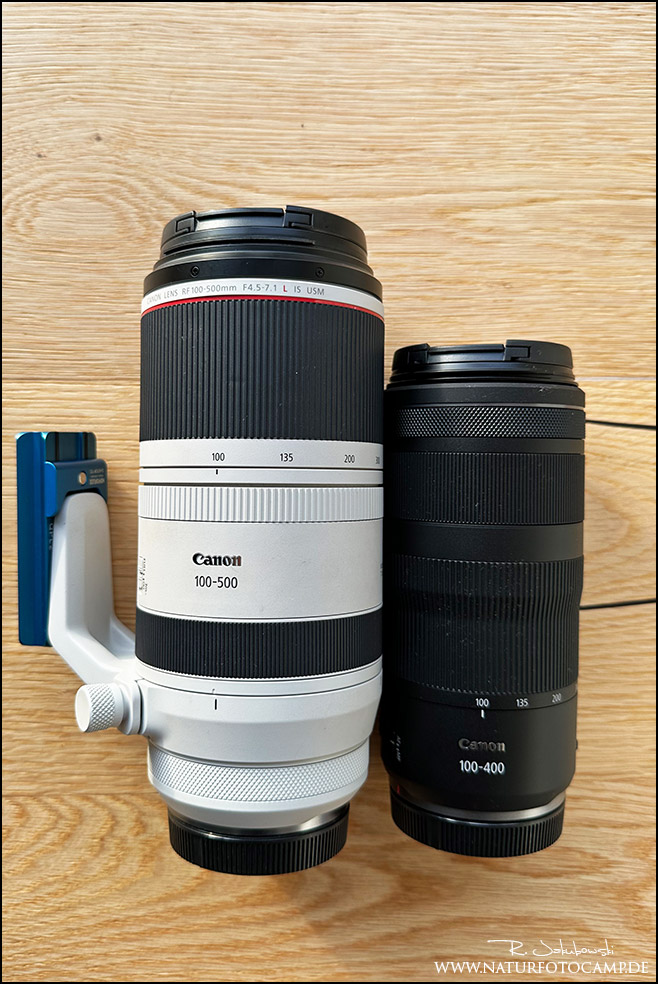 Canon RF 100-400mm 5.6-8.0 IS vs. Canon RF 100-500mm 4.5-7.1 L IS USM der Test für Tierfotografen