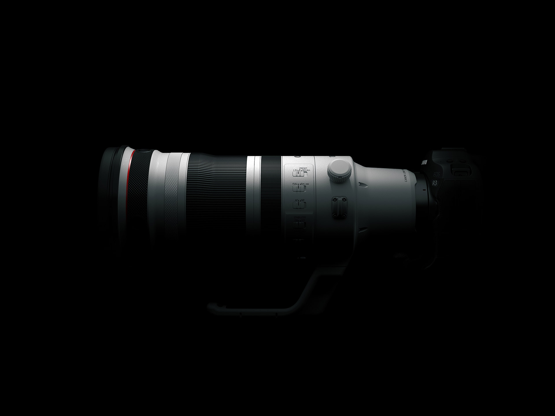 #115 Naturfotonews – Canon RF 100-300mm 2.8 L IS und vieles mehr